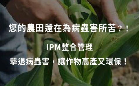 守護農田新策略！IPM 整合管理讓作物高產又環保